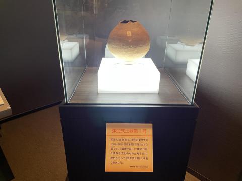 弥生式土器第1号