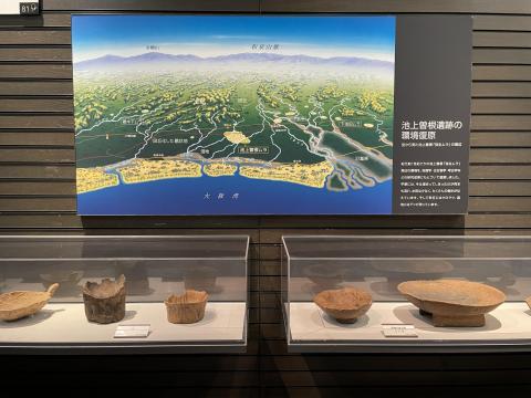 池上曽根遺跡の環境復元