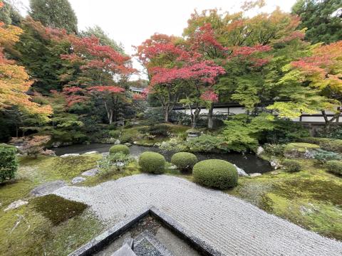 泉湧寺御座所庭園