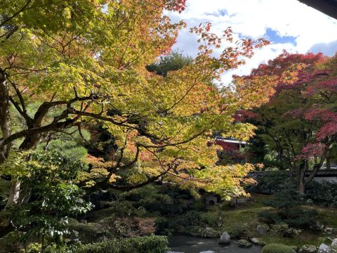 泉湧寺御座所庭園