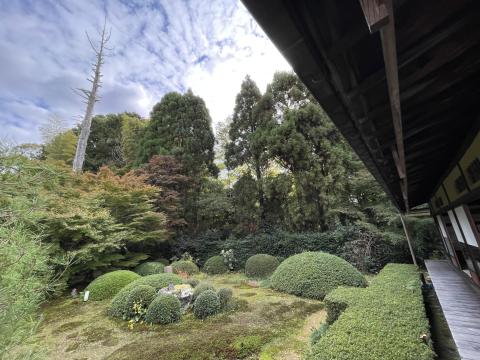 雲龍院庭園