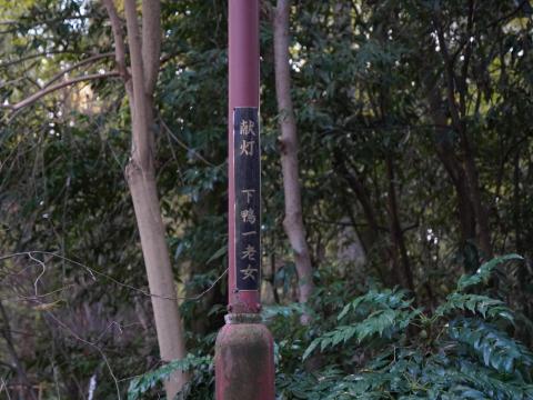 献灯 下鴨一老女