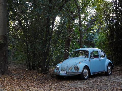 フォルクスワーゲン