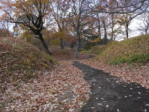 新沢千塚古墳群