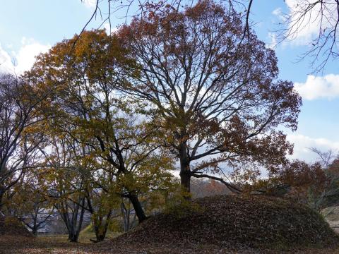 新沢千塚古墳群