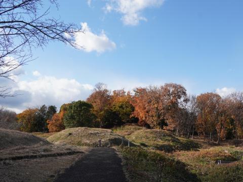 新沢千塚古墳群