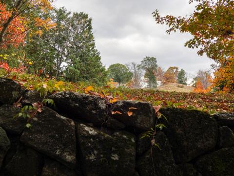新沢千塚古墳群