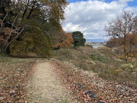 新沢千塚古墳群