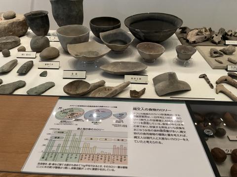 縄文人の食物カロリー