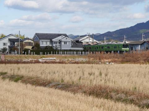 纒向遺跡辻地区建物群とJR西201系