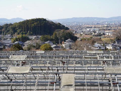 井寺池の土手から