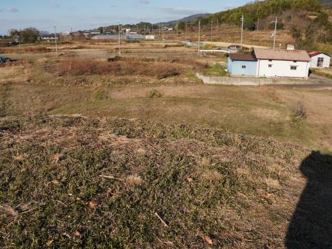 帆立貝式古墳の前方部