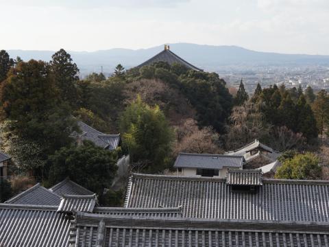 二月堂からの眺め