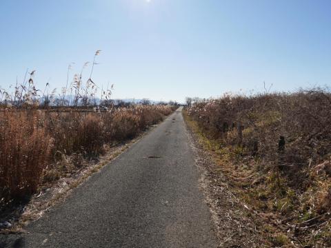 ビオトーブの西側
