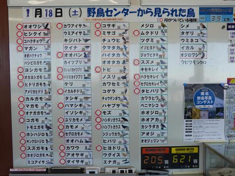 湖北野鳥センター