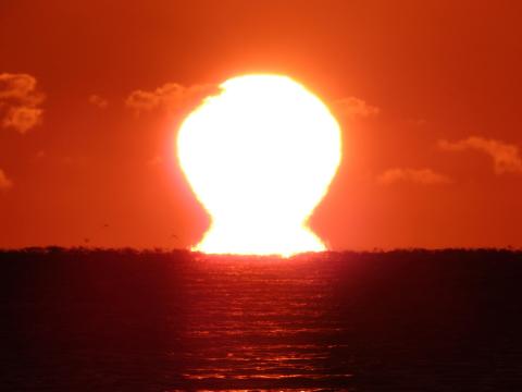 2020年元旦（再掲）