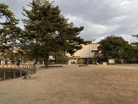 奈良国立博物館