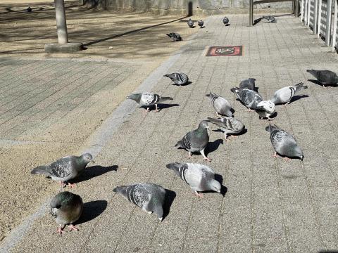 金塚ふれあい西公園