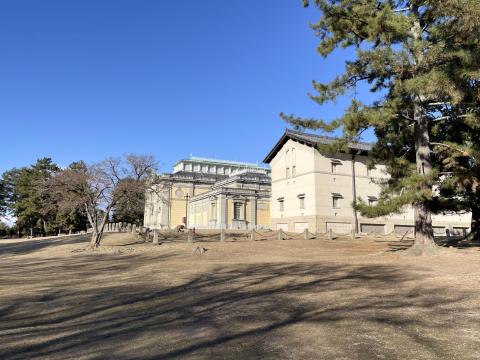 奈良国立博物館