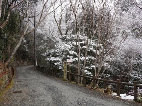 春日山遊歩道入口