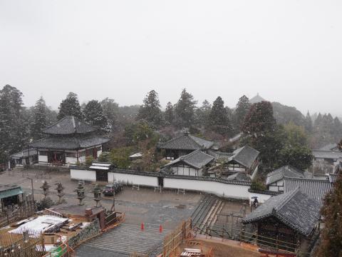 二月堂からの眺め