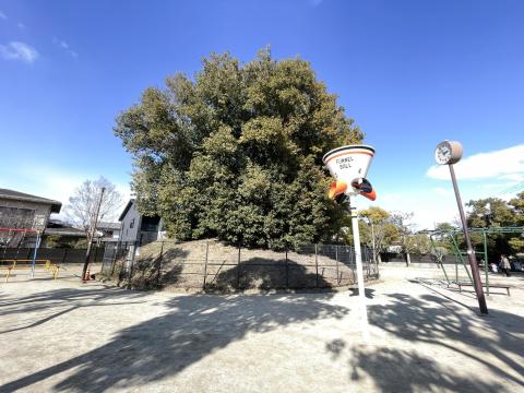 太田茶臼山古墳C号陪塚