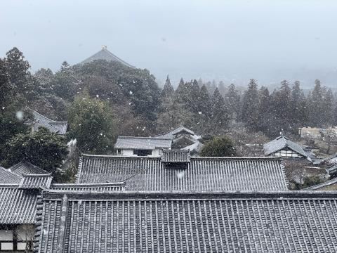 二月堂からの眺め