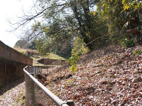桜井茶臼山古墳