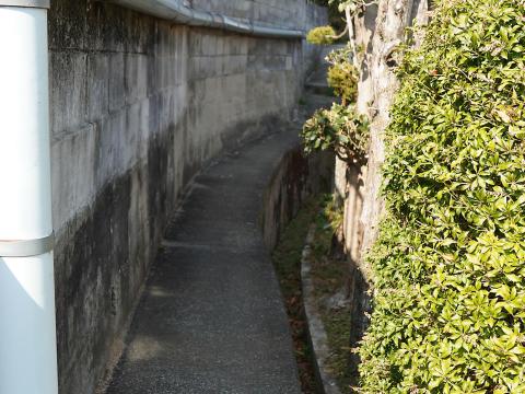 艸墓古墳への道