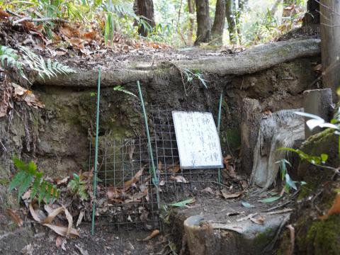 益田岩船への道