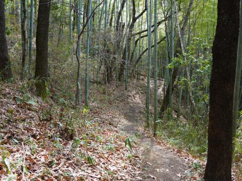 牽牛子塚古墳への道