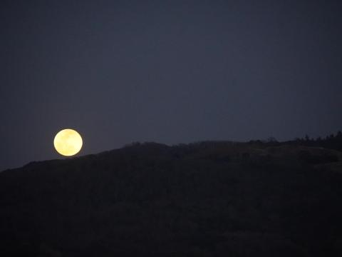 ★若草山の満月