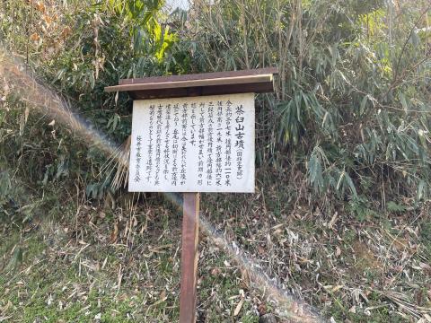 桜井茶臼山古墳