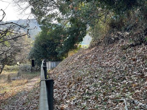 桜井茶臼山古墳