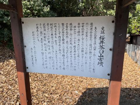 桜井茶臼山古墳