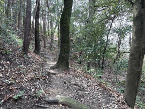 益田岩船への道