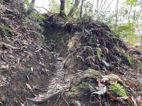 益田岩船への道