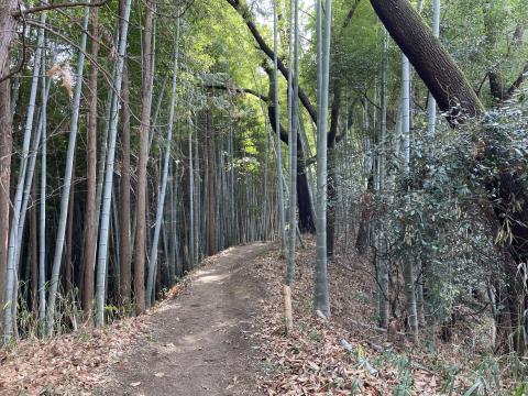 益田岩船への道