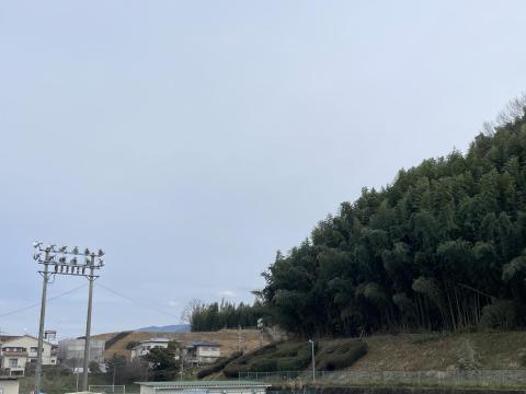 橿原市白橿町