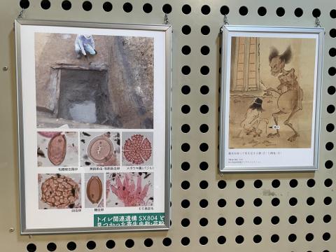 トイレ関連遺構