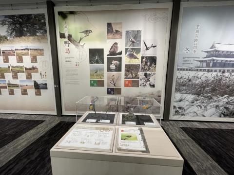 平城宮跡の野鳥