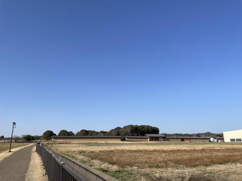 東院庭園