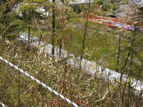 椿井大塚山古墳