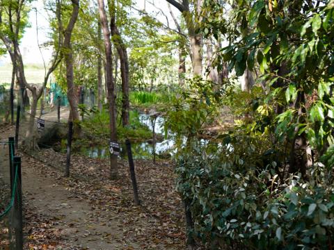 野添北公園ビオトーブ