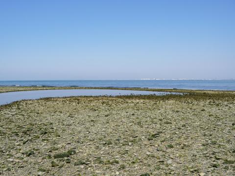 男里川右岸河口