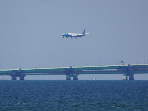 中国南方航空 B773