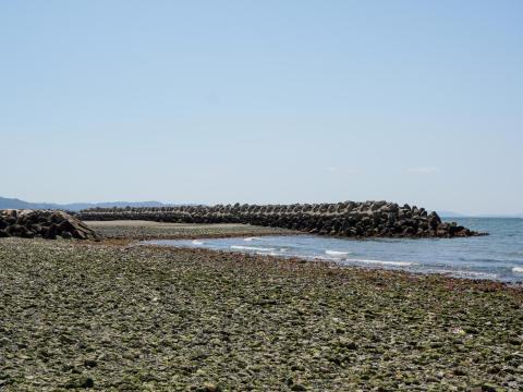 男里川左岸河口