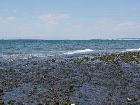男里川左岸河口