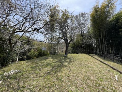 椿井大塚山古墳