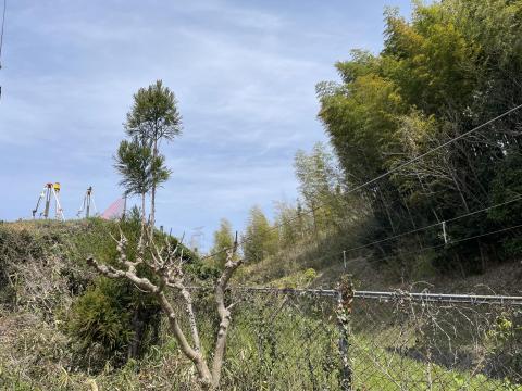 椿井大塚山古墳